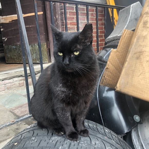 Meet your Posher, Static - Picture 15 of 16